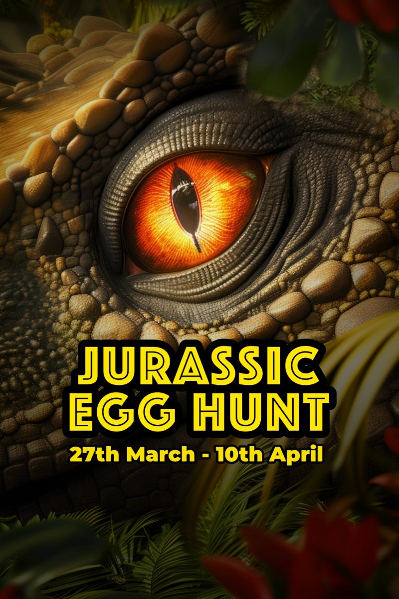 J105010 Aff Staff Jurassic Egg Hunt Web Banner Mobile 1080x1920px AW